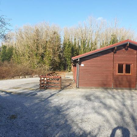 Red Squirrel Lodge กัลเวย์ ภายนอก รูปภาพ